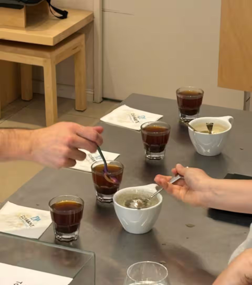 Cata de cinco cafés de especialidad sobre la mesa de cupping